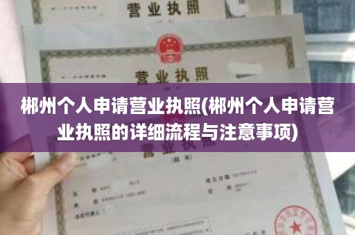 郴州个人申请营业执照(郴州个人申请营业执照的详细流程与注意事项)