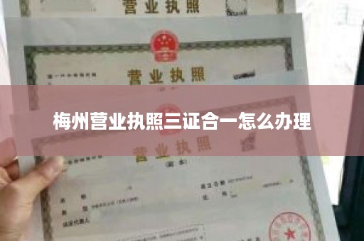 梅州营业执照三证合一怎么办理