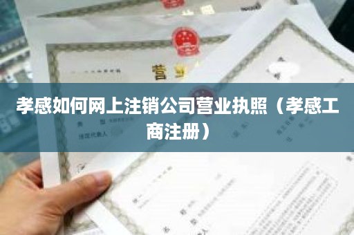 孝感如何网上注销公司营业执照（孝感工商注册）