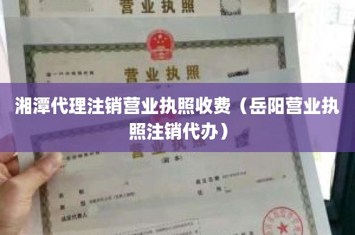 湘潭代理注销营业执照收费（岳阳营业执照注销代办）