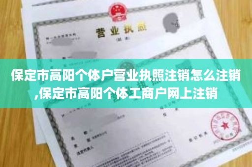 保定市高阳个体户营业执照注销怎么注销,保定市高阳个体工商户网上注销