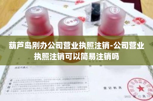 葫芦岛刚办公司营业执照注销-公司营业执照注销可以简易注销吗