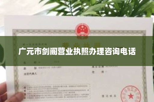广元市剑阁营业执照办理咨询电话