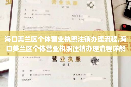 海口美兰区个体营业执照注销办理流程,海口美兰区个体营业执照注销办理流程详解
