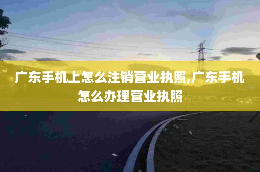 广东手机上怎么注销营业执照,广东手机怎么办理营业执照