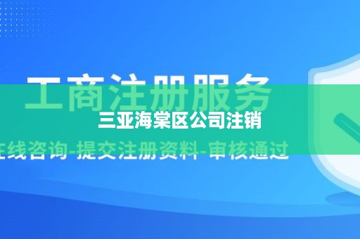 三亚海棠区公司注销
