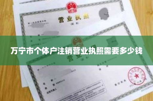 万宁市个体户注销营业执照需要多少钱