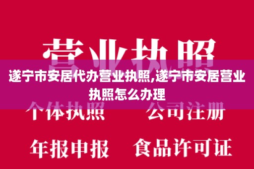 遂宁市安居代办营业执照,遂宁市安居营业执照怎么办理