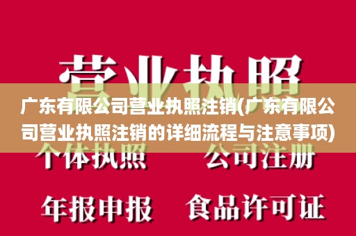 广东有限公司营业执照注销(广东有限公司营业执照注销的详细流程与注意事项)
