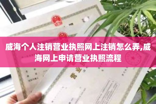 威海个人注销营业执照网上注销怎么弄,威海网上申请营业执照流程
