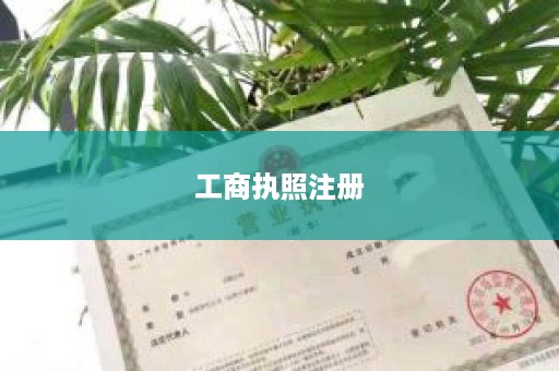 工商执照注册