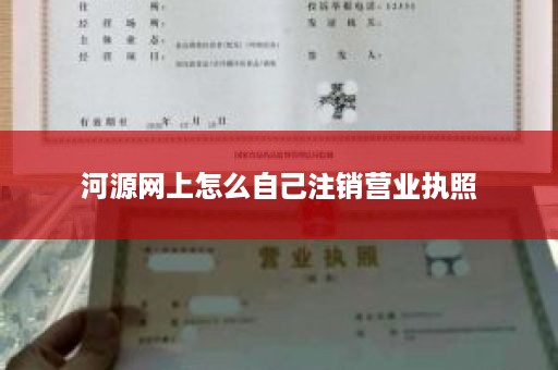 河源网上怎么自己注销营业执照