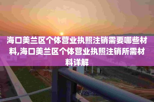 海口美兰区个体营业执照注销需要哪些材料,海口美兰区个体营业执照注销所需材料详解