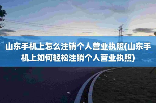 山东手机上怎么注销个人营业执照(山东手机上如何轻松注销个人营业执照)