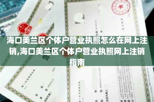 海口美兰区个体户营业执照怎么在网上注销,海口美兰区个体户营业执照网上注销指南