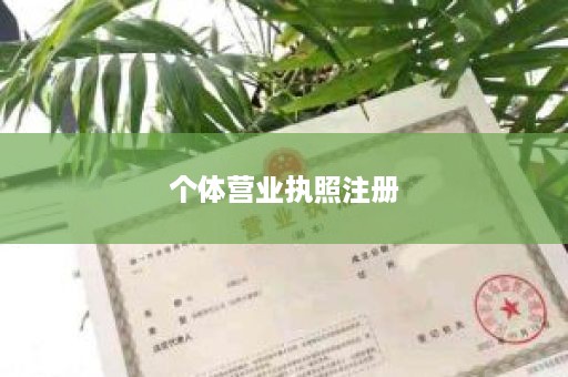 个体营业执照注册