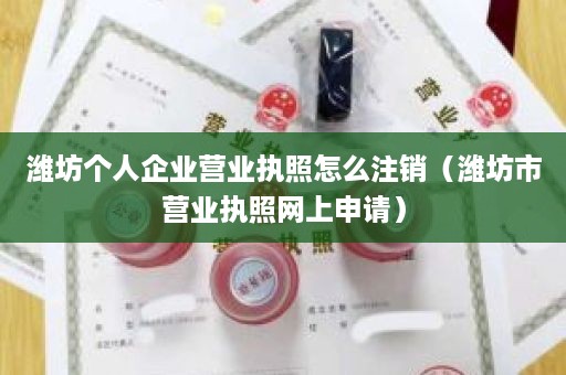 潍坊个人企业营业执照怎么注销（潍坊市营业执照网上申请）