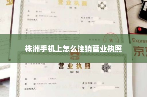 株洲手机上怎么注销营业执照