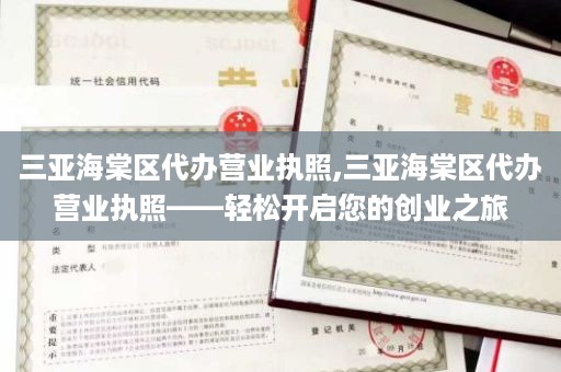 三亚海棠区代办营业执照,三亚海棠区代办营业执照——轻松开启您的创业之旅