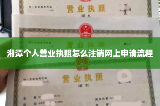 湘潭个人营业执照怎么注销网上申请流程