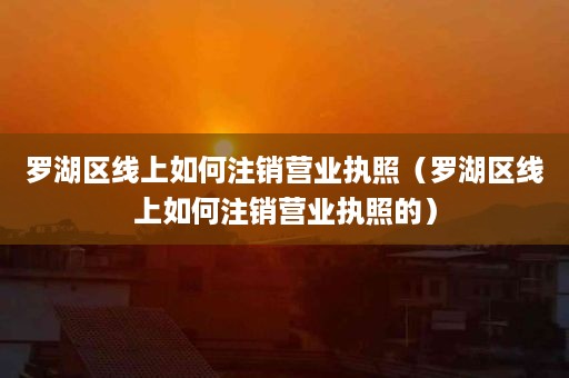 罗湖区线上如何注销营业执照（罗湖区线上如何注销营业执照的）