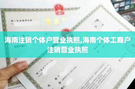 海南注销个体户营业执照,海南个体工商户注销营业执照
