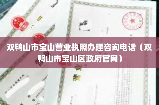双鸭山市宝山营业执照办理咨询电话（双鸭山市宝山区政府官网）