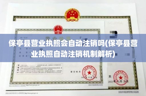 保亭县营业执照会自动注销吗(保亭县营业执照自动注销机制解析)