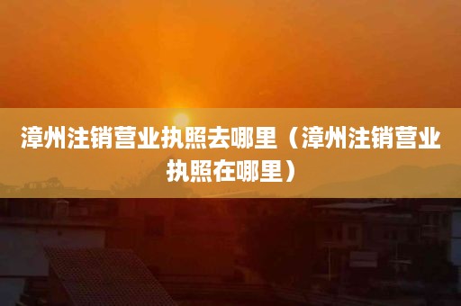 漳州注销营业执照去哪里（漳州注销营业执照在哪里）