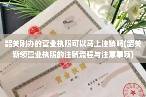 韶关刚办的营业执照可以马上注销吗(韶关新领营业执照的注销流程与注意事项)