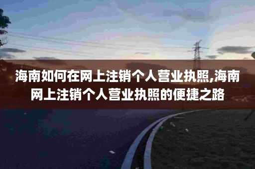 海南如何在网上注销个人营业执照,海南网上注销个人营业执照的便捷之路