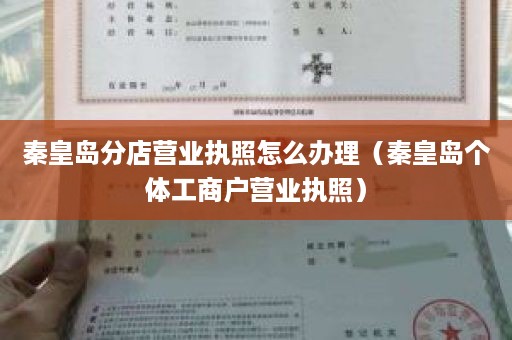 秦皇岛分店营业执照怎么办理（秦皇岛个体工商户营业执照）