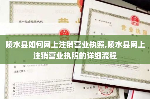 陵水县如何网上注销营业执照,陵水县网上注销营业执照的详细流程