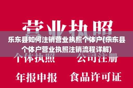 乐东县如何注销营业执照个体户(乐东县个体户营业执照注销流程详解)