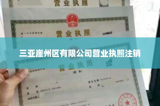 三亚崖州区有限公司营业执照注销