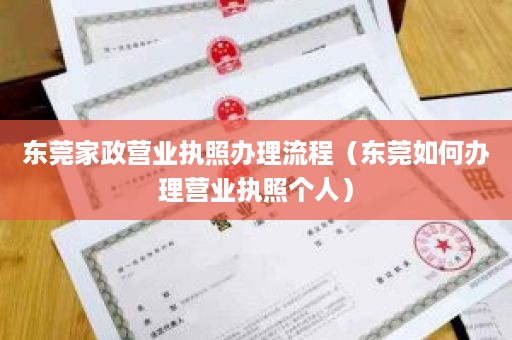 东莞家政营业执照办理流程（东莞如何办理营业执照个人）