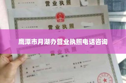 鹰潭市月湖办营业执照电话咨询