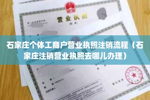 石家庄个体工商户营业执照注销流程（石家庄注销营业执照去哪儿办理）