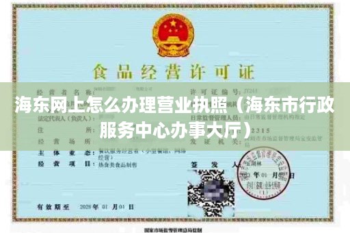 海东网上怎么办理营业执照（海东市行政服务中心办事大厅）