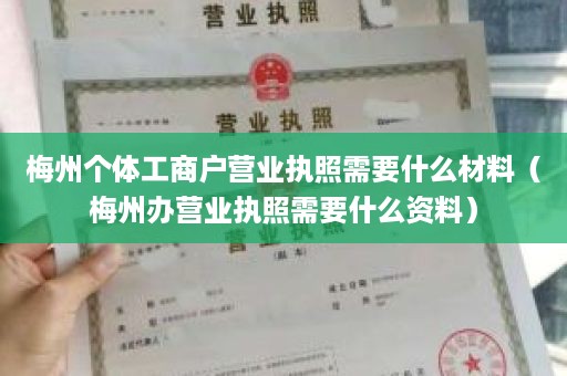 梅州个体工商户营业执照需要什么材料（梅州办营业执照需要什么资料）