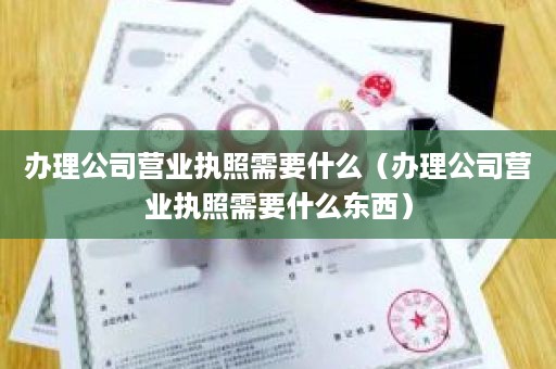 办理公司营业执照需要什么（办理公司营业执照需要什么东西）