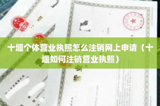 十堰个体营业执照怎么注销网上申请（十堰如何注销营业执照）