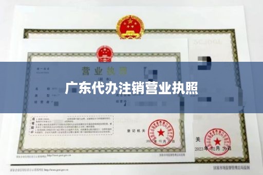 广东代办注销营业执照