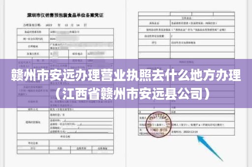 赣州市安远办理营业执照去什么地方办理（江西省赣州市安远县公司）