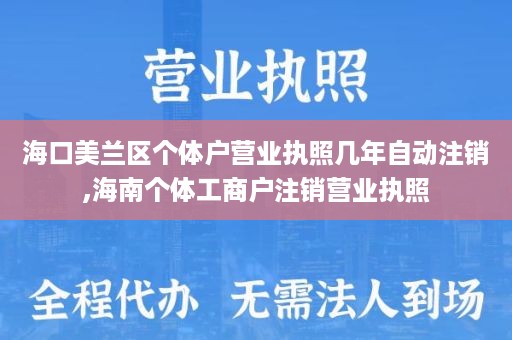 海口美兰区个体户营业执照几年自动注销,海南个体工商户注销营业执照