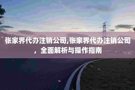 张家界代办注销公司,张家界代办注销公司，全面解析与操作指南
