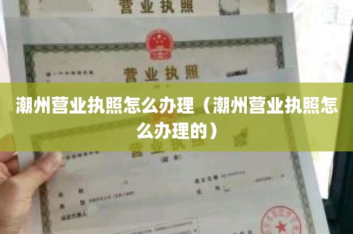 潮州营业执照怎么办理（潮州营业执照怎么办理的）