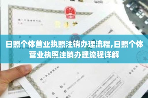 日照个体营业执照注销办理流程,日照个体营业执照注销办理流程详解