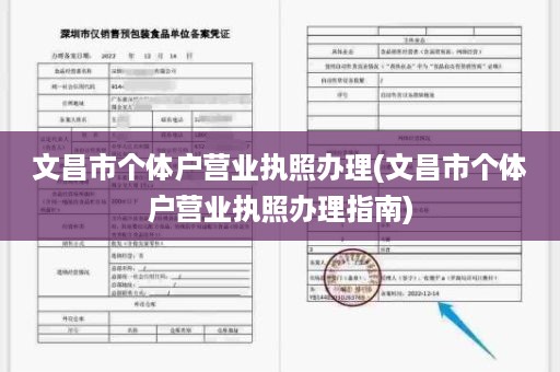 文昌市个体户营业执照办理(文昌市个体户营业执照办理指南)
