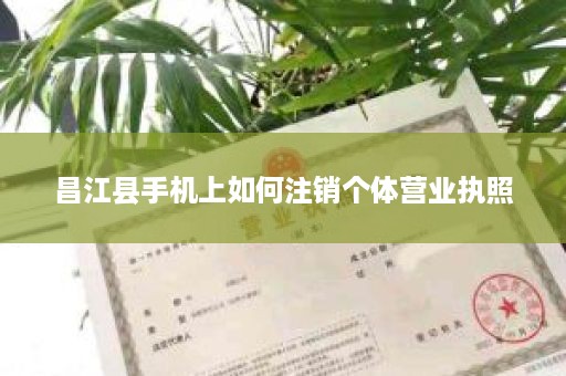 昌江县手机上如何注销个体营业执照